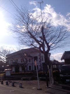 寒い日 榎 小弓の庄