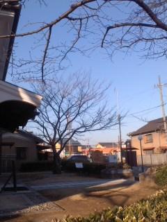 小春日和 小弓の庄 羽黒駅