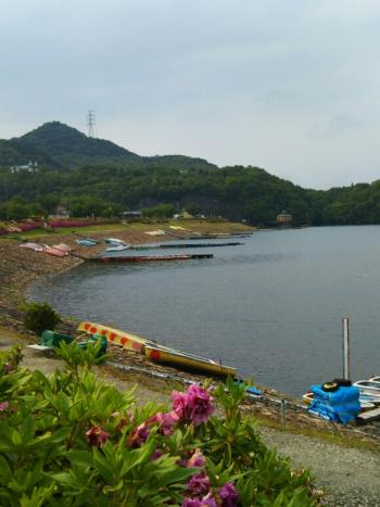 入鹿池。田植え前貯水の