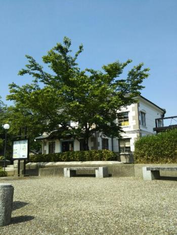 小弓の庄 深緑。