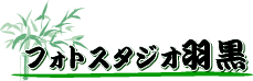 �t�H�g�X�^�W�I�H��